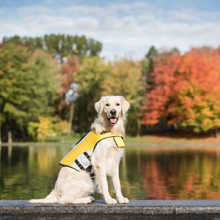 Dog Life Vest Jacket